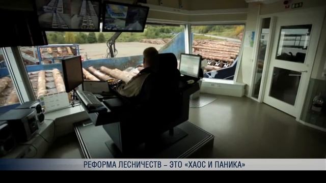 Реформа лесничеств - это «хаос и паника» смотреть онлайн