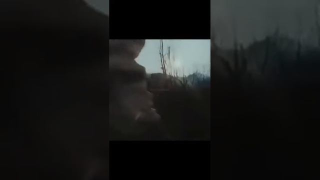 Польский алфавит (юмор) смотреть онлайн