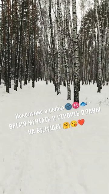 Новолуние февраля в Рыбах #shorts смотреть онлайн