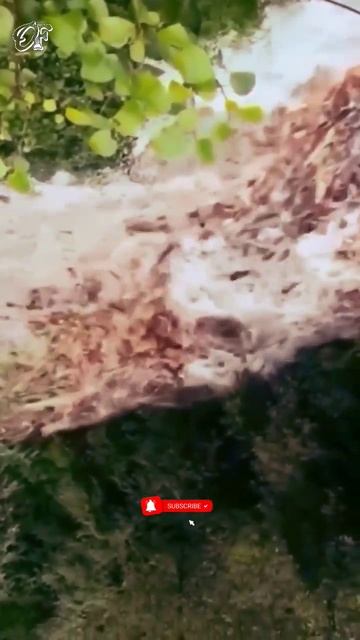 NASA Warns About Flooding In 2030! #shorts смотреть онлайн