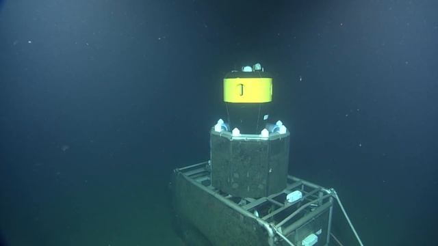 Working with NEPTUNE Canada Data смотреть онлайн