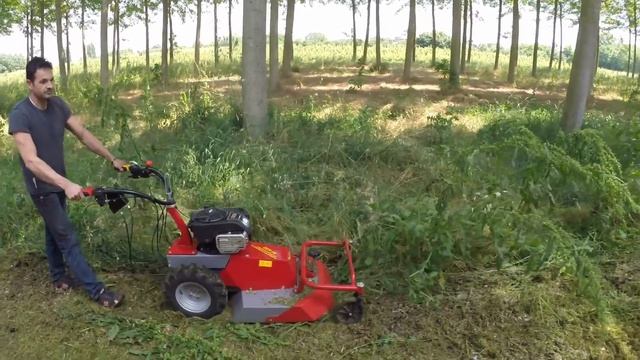Meccanica Benassi RF630 смотреть онлайн