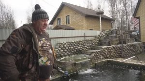 Пруд растаял,рыбки проснулись.