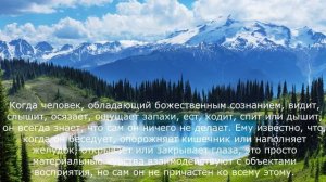 Цитаты из Священных писаний!