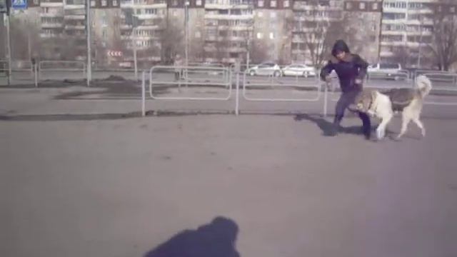 Плутон, рысь 2 смотреть онлайн
