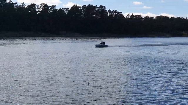 Gummi med en 1979 9,8 mercury смотреть онлайн