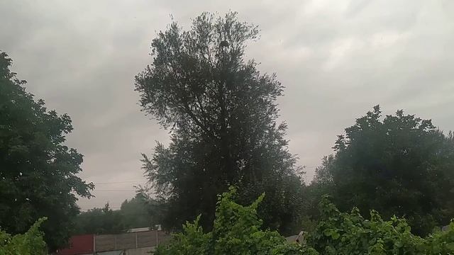 Гроза, непогода в Харькове. 31 августа 2021 год смотреть онлайн