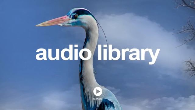 Jupiter - Silent Partner | No Copyright Music YouTube - Free Audio Library смотреть онлайн