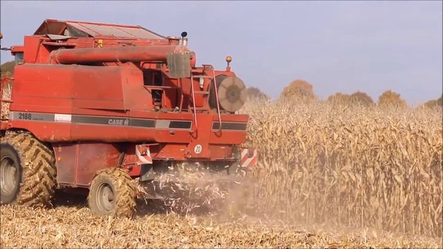 Moisson 2016 en Alsace Case IH 2188 Capello Quasar R6 смотреть онлайн