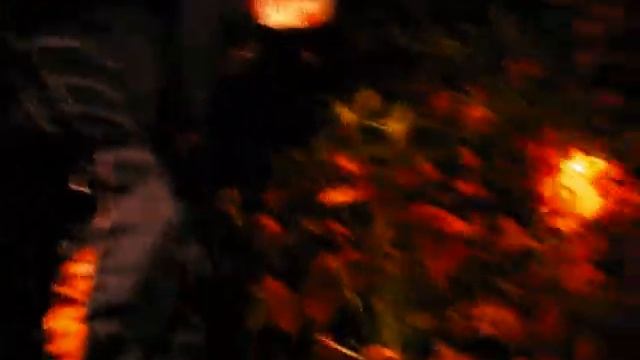 THE MIDNIGHT MASSACRE смотреть онлайн