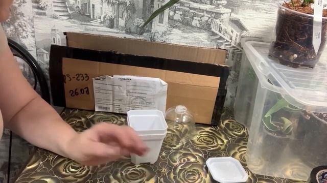 Очень много новинок 🌹 смотреть онлайн