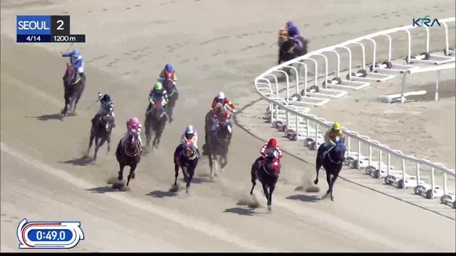 (Seoul) 2024.04.14 R2 Class 6 (1200M) Special Weight A смотреть онлайн