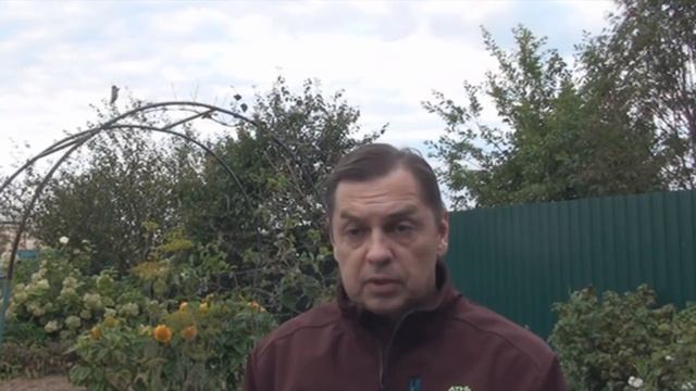 Петиция за вынос мумии ленина смотреть онлайн