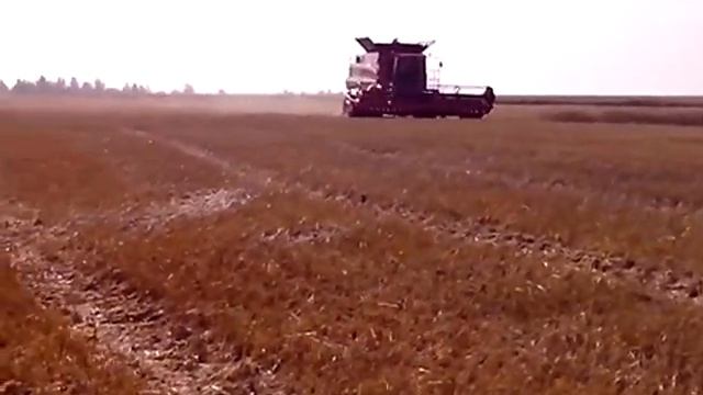 case 6130 смотреть онлайн