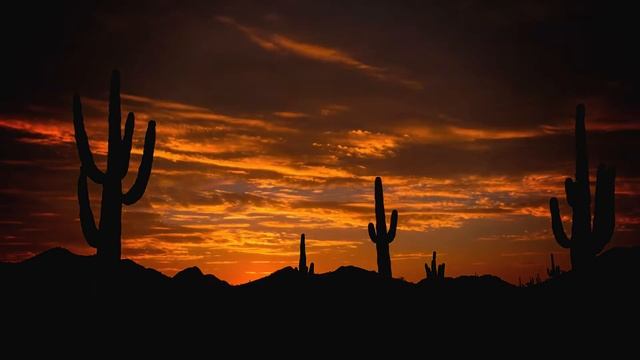 Meditation Music Calm Relax - Desert Sounds