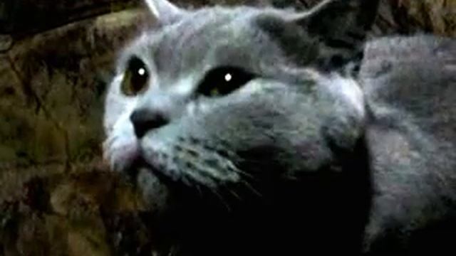 Марс атакует... смотреть онлайн