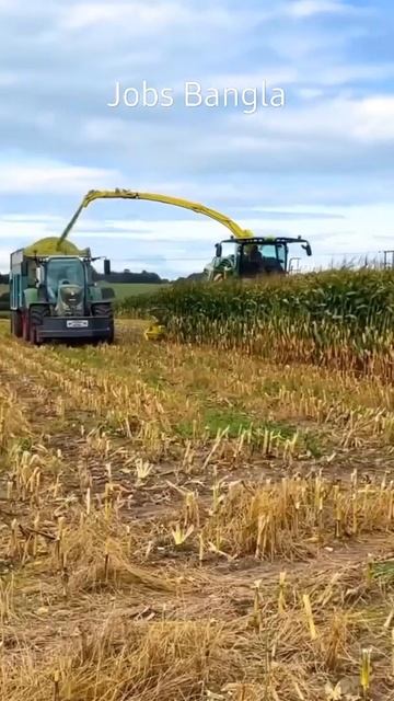 Maize Harvesting #technology #agriculture #shorts #agriculturemachine #tractor смотреть онлайн