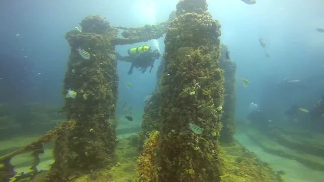 Neptune Reef смотреть онлайн