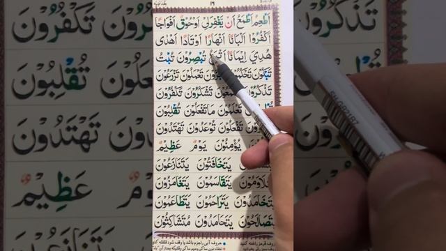 Дарси 18 аз коидаи багдоди смотреть онлайн
