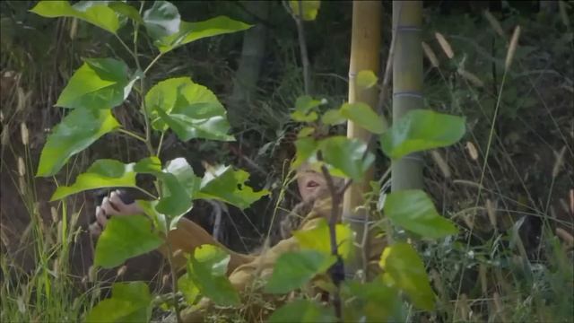 【功夫電影】日軍在美女身上綁炸彈，關鍵時刻小夥用弓箭將他們全殲救出美女！Kung Fu | Action film HD смотреть онлайн