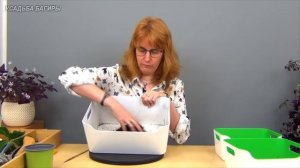 Адениум. Посадка и уход.