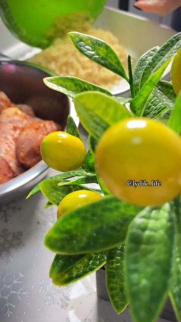 Курочка с рисом в духовке