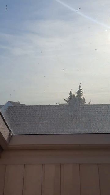 19.05.2022 Sonnenaufgang 7:59Uhr Pfungstadt Wetter Deutschland aktuell sonnig Hessen Himmel leicht смотреть онлайн