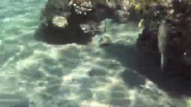 Huisrif Brayka Bay, Marsa Alam Egypte смотреть онлайн