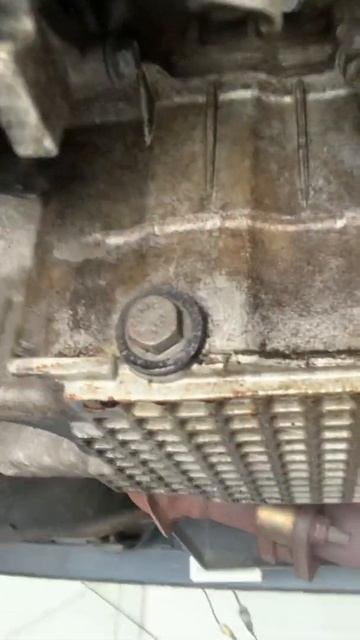 08 Mercury Mariner-Locating The Oil Pan/Drain Plug And Oil Filter