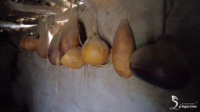 Người Và động Vật Hoang Dã Sống Cùng Lãnh Thổ | Bộ Lạc Tài Năng Nhất Châu Phi 🇹🇿