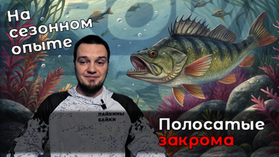 Целый сезон с приманками от Brown Perch. Мой личный опыт