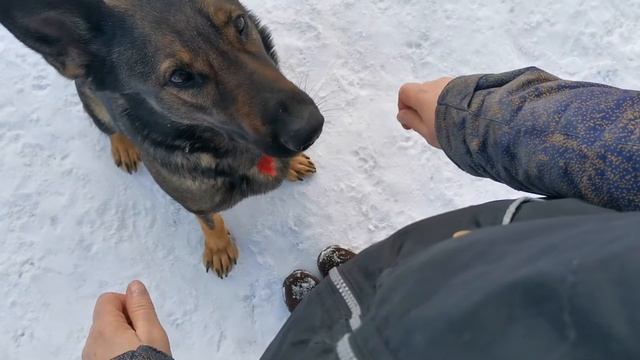 глазки по принципу импульс-контроля 2 смотреть онлайн