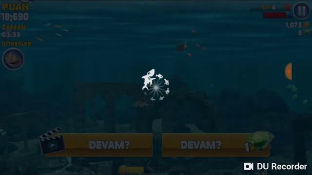 Играя  игра с акули. 😂