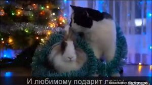 А ну-ка давай-ка плясать выходи