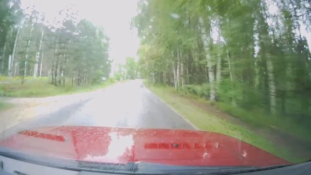 Медведь на дороге смотреть онлайн