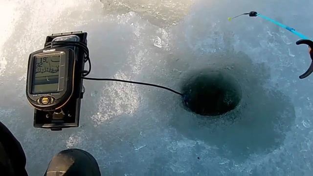 За мордатым в глубь озера в полнолуние смотреть онлайн