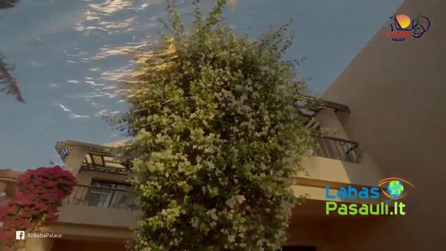 Ali Baba Palace 5* viešbutis Egipte Hurgadoje | Labaspasauli.lt смотреть онлайн