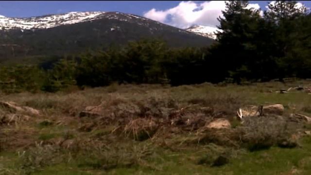 Senokos - Долна Злата смотреть онлайн