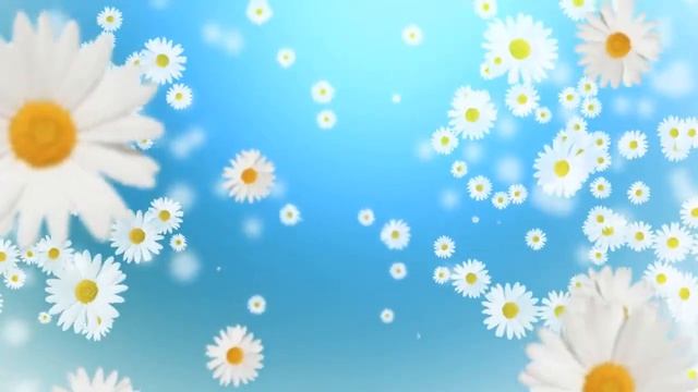 Футажи для видеомонтажа фон 36 смотреть онлайн