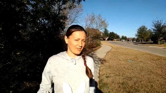 2.5 месяца в США по гринкарт смотреть онлайн