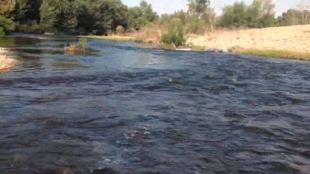1652 Blazer Outboard Jet 60/40 Mercury Boise River смотреть онлайн