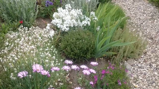 Our Garden In Benhall