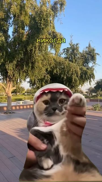 ИДИАЛ #youtube #рек #mrbeast #рекомендации #популярное смотреть онлайн