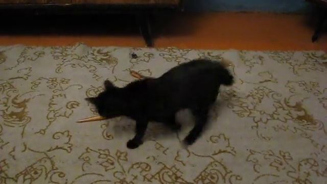 кошка и игрушечная змея смотреть онлайн