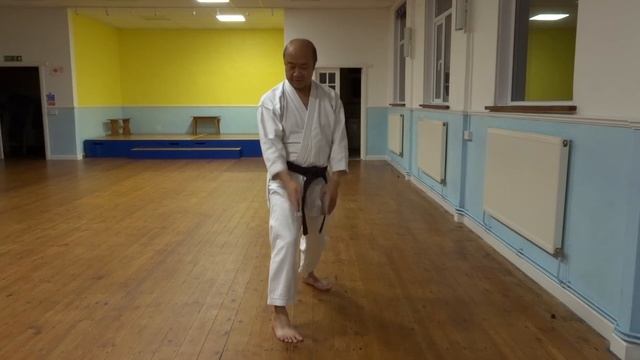 How your feet and the way they turn can manage your centreline/seichusen in Wado Ryu Karate. смотреть онлайн