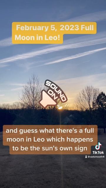 February 5 2023 Full Moon in Leo. #astrology #2023astrology #dailyastrology #leo #aquarius #fullmoo смотреть онлайн