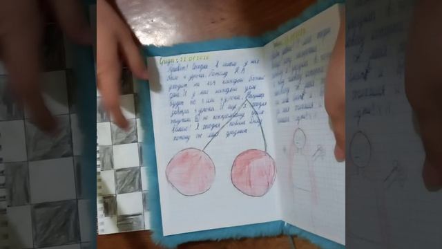 Обзор на личный дневник и на часто используюемую тетрадку смотреть онлайн