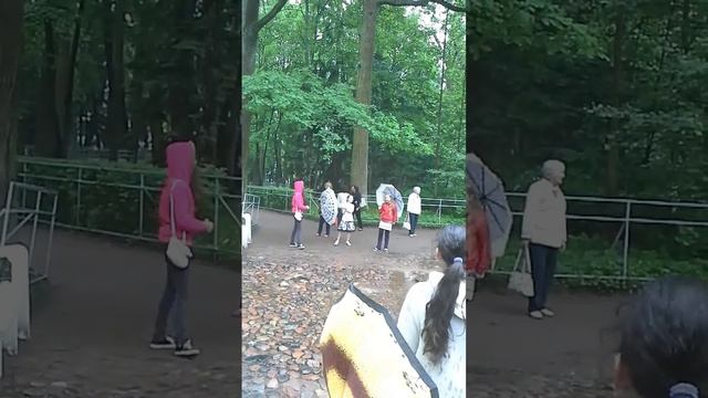 Влог:Петергоф фонтаны с сюрпризом смотреть онлайн