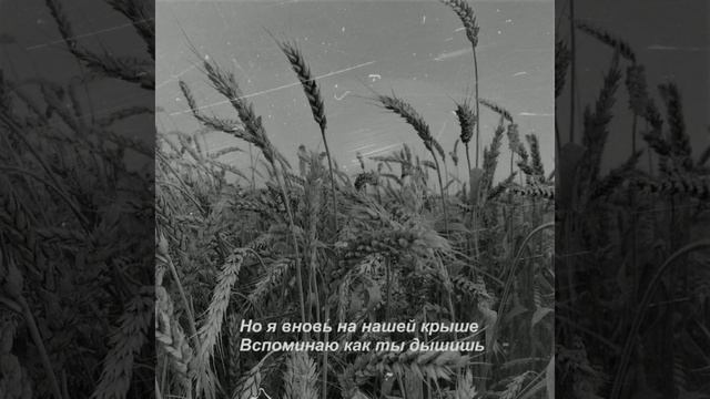 Ты Венера , Я Юпитер (slowed+reverb) смотреть онлайн