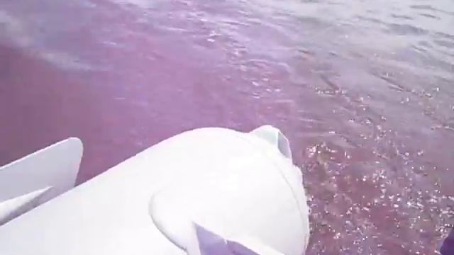 Minn Kota 50 lbs trolling motor on Inflatable 16ft Saturn part2 смотреть онлайн
